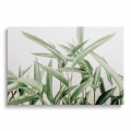 obraz-na-szkle-akrylowym-duze-zielone-liscie-przod.webp