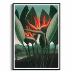 Plakat - The Queen – Plant from The Temple of Flora - R.J. Thornton