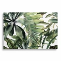 obraz-na-szkle-akrylowym-tropikalne-liscie-na-bialym-tle-przod.webp