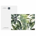 obraz-na-szkle-akrylowym-tropikalne-liscie-na-bialym-tle-tyl.webp