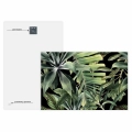 obraz-na-szkle-akrylowym-tropikalne-liscie-tyl.webp