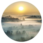 Fototapeta okrągła - Wschód słońca nad lasem we mgle