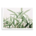 plakat-bez-ramki-przod-duze-zielone-liscie-styl-skandynawski-i-boho-wzór-roslinny.webp