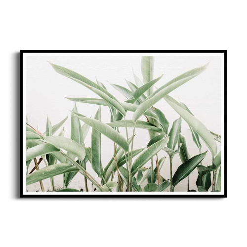 plakat-czarna-ramka-przod-duze-zielone-liscie-styl-skandynawski-i-boho-wzór-roslinny.webp