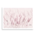 plakat-bez-ramki-przod-mglista-laka-z-trawa-pampasowa-i-ptakami.webp