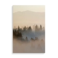 obraz-na-szkle-akrylowym-zamglony-las-i-gory-przod-pion.webp