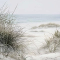 obraz-na-szkle-akrylowym-wydmy-nad-morzem-z-trawami-fragment.webp
