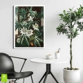 7876-7084A-plakat-biala-rama-the-passiflora-cerulea-from-the-temple-of-flora-wnetrze.webp