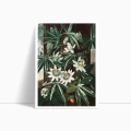 7876-7084A-plakat-the-passiflora-cerulea-from-the-temple-of-flora-przod.webp
