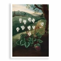 3C72-302B5-plakat-bez-ramy-the-persian-cyclamen-from-the-temple-of-flora-thornton_web.webp
