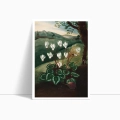 3C72-302B5-plakat-bez-ramy-the-persian-cyclamen-from-the-temple-of-flora-thornton-przod_web.webp