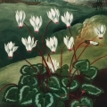 3C72-302B5-plakat-the-persian-cyclamen-from-the-temple-of-flora-thornton-fragment_web.webp