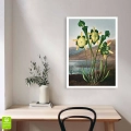 FFCD-83213-plakat-bez-ramy-pitcher-plant-from-the-temple-of-flora-tornton-wnetrze_web.webp