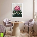 6181-32678-plakat-bez-ramy-the-pontic-rhododendron-from-the-temple-of-flora-tornton-wnetrze_web.webp