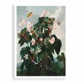 7680-315EE-plakat-bez-ramy-the-oblique–leaved-begonia-from-the-temple-of-flora-thornton_web.webp