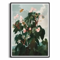 7680-315EE-plakat-czarna-rama-the-oblique–leaved-begonia-from-the-temple-of-flora-thornton_web.webp
