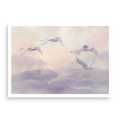 plakat-bez-ramki-przod-lecace-labedzie-w-chmurach.webp