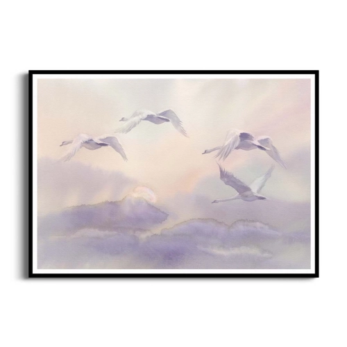 plakat-czarna-ramka-przod-lecace-labedzie-w-chmurach.webp