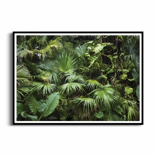 plakat-czarna-ramka-przod-gesta-dzungla.webp