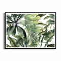 plakat-czarna-ramka-przod-tropikalne-liscie-na-bialym-tle.webp