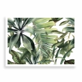 plakat-bez-ramki-przod-tropikalne-liscie-na-bialym-tle.webp