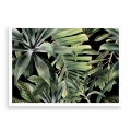 plakat-bez-ramki-przod-tropikalne-liscie.webp