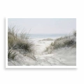 plakat-bez-ramki-przod-wydmy-nad-morzem-z-trawami.webp