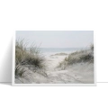 plakat-bez-ramki-bok-wydmy-nad-morzem-z-trawami.webp