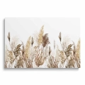 obraz-na-szkle-akrylowym-akwarelowa-trawa-pampaspwa-w-stylu-boho-II-przod.webp