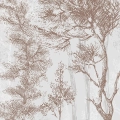 detal-fototapety-las-szkic-drzewa-tekstura.webp