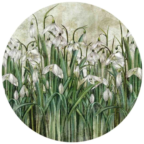 okrągła fototapeta samoprzylepna z białymi przebiśniegami do samodzielnego przyklejenia na ścianie