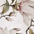 fototapeta-na-wymiar-delikatna-magnolia-fragment2.webp