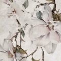 fototapeta-na-wymiar-delikatna-magnolia-fragment3.webp