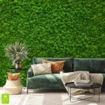 Fototapeta na wymiar - Zielony Mech – Naturalna dekoracja do salonu, styl nowoczesny, soczysta zieleń, las w domu