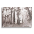 Obraz-poziom-zamglony-las-z -jeleniami_web.webp