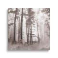 Obraz-kwadrat-zamglony-las-z -jeleniami_web.webp