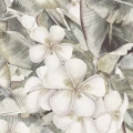 Obraz-kwiaty-plumerii-fragment_web.webp