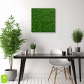 Obraz-zielony-mech-kwadrat-wnetrze_web.webp