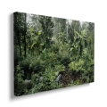 Obraz-dzika-dzungla-poziom-bok_web.webp