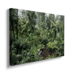 Obraz na płótnie - Dzika Dżungla – Soczysta zielona dekoracja do salonu, styl tropikalny i nowoczesny, gęsty las deszczowy, egzotyczny ogród na ścianie