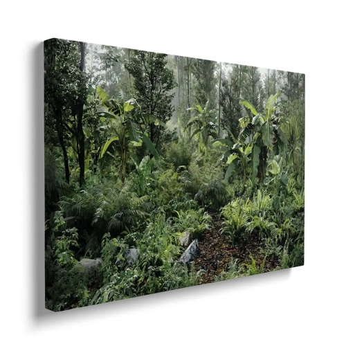 Obraz-dzika-dzungla-poziom-bok_web.webp