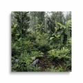 Obraz-dzika-dzungla-kwadrat_web.webp