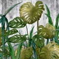 fototapeta-rosliny-na-betonie-fragment.webp
