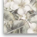 Obraz-na-szkle-pion-krawedz-kwiaty-plumerii_web.webp