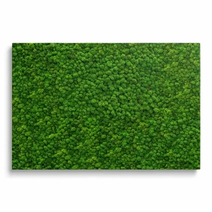 Obraz na szkle - Zielony Mech – Naturalna dekoracja do salonu, styl nowoczesny, soczysta zieleń, las w domu