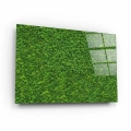Obraz-na-szkle-poziom-bok-zielony-mech_web.webp
