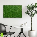 Obraz-na-szkle-poziom-wnetrze-zielony-mech_web.webp