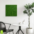 Obraz-na-szkle-kwadrat-wnetrze-zielony-mech_web.webp