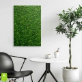 Obraz-na-szkle-pion-wnetrze-zielony-mech_web.webp