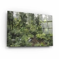 Obraz-na-szkle-poziom-bok-dzika-dzungla_web.webp